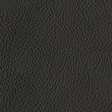 Load image into Gallery viewer, Luigi Sofa
